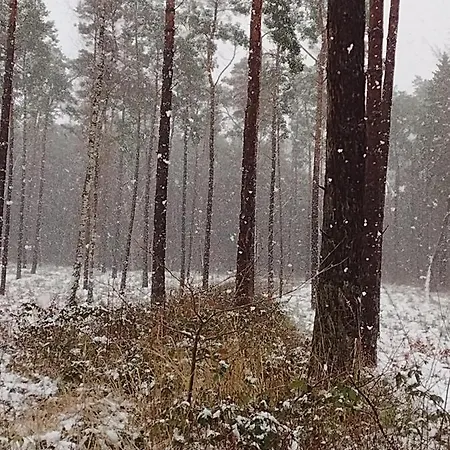 Fewo Nahe Der Ostsee Bei Luebeck Lauen Exterior foto