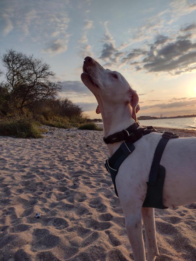 Nahe Der Ostsee Bei Luebeck
