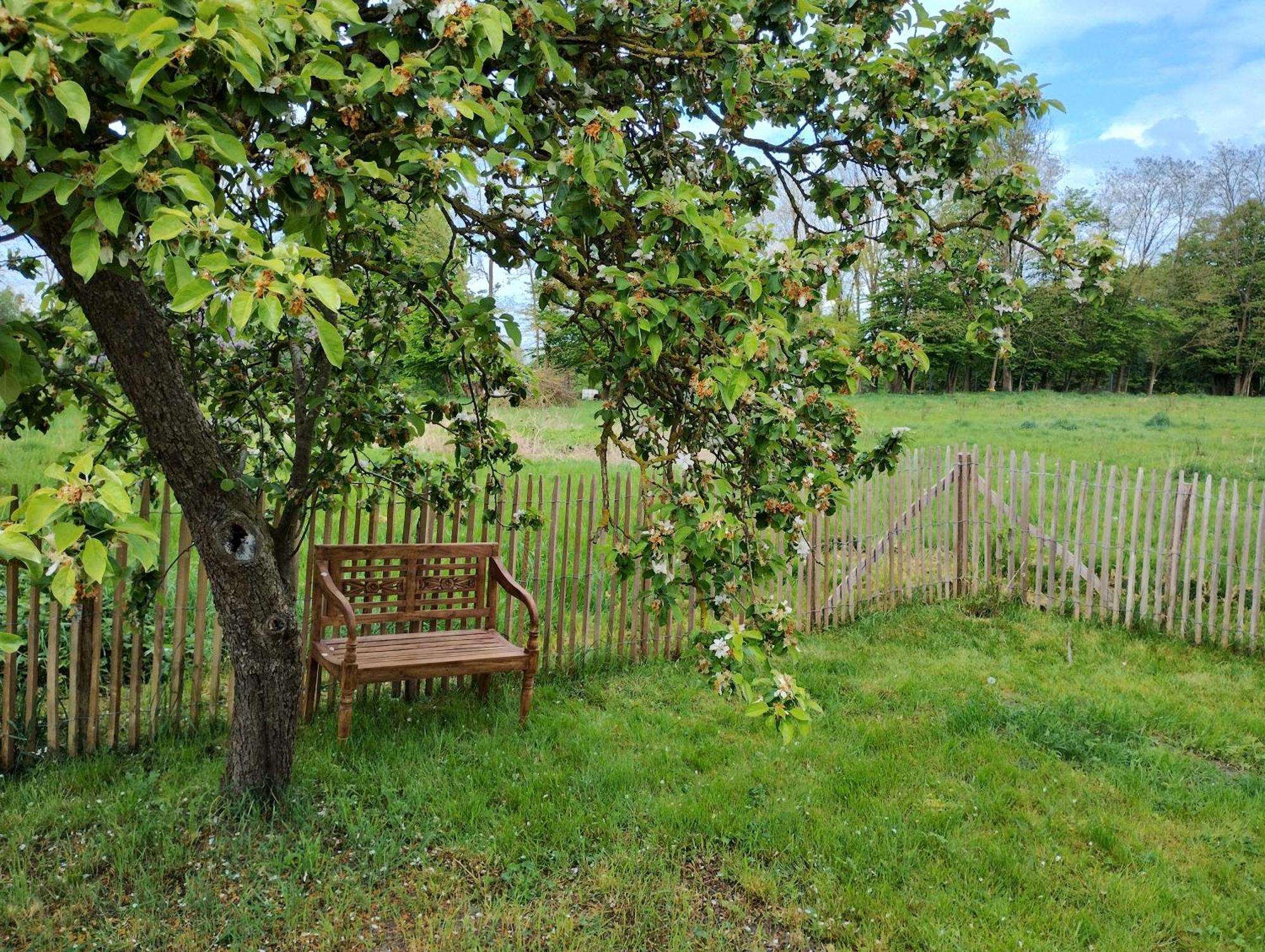 Apartment Nahe Der Ostsee Bei Luebeck Lauen